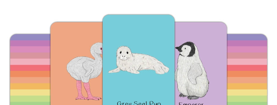 Personalised Flashcards. Made in the UK. Create your own custom educational flash cards online.