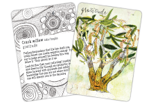 Custom Oracle Cards