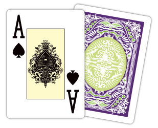 plastic playing cards displaying the front design of index faces and a stylish card back design.